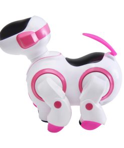 Alternative view of Universal Robot Hond