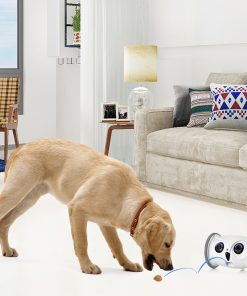 Intelligent Pet Companion Robot With Automatic Feeder