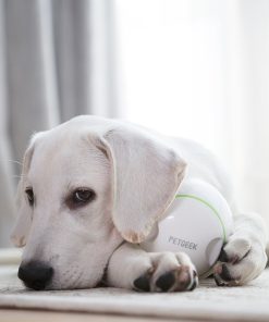Alternative view of Dog Toy Electric Ieaking Ball Electronic Toy Robot