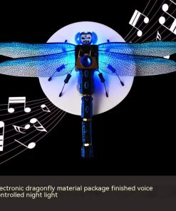 Alternative view of Sixth Grade Middle School High Difficulty DIY Robot Insect